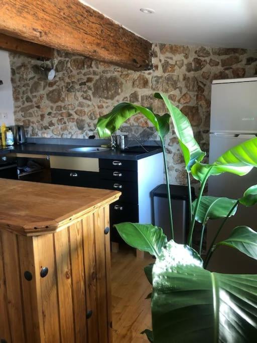 Le Loft Cosy - Centre Ville - Cadre Royal Sete Bagian luar foto