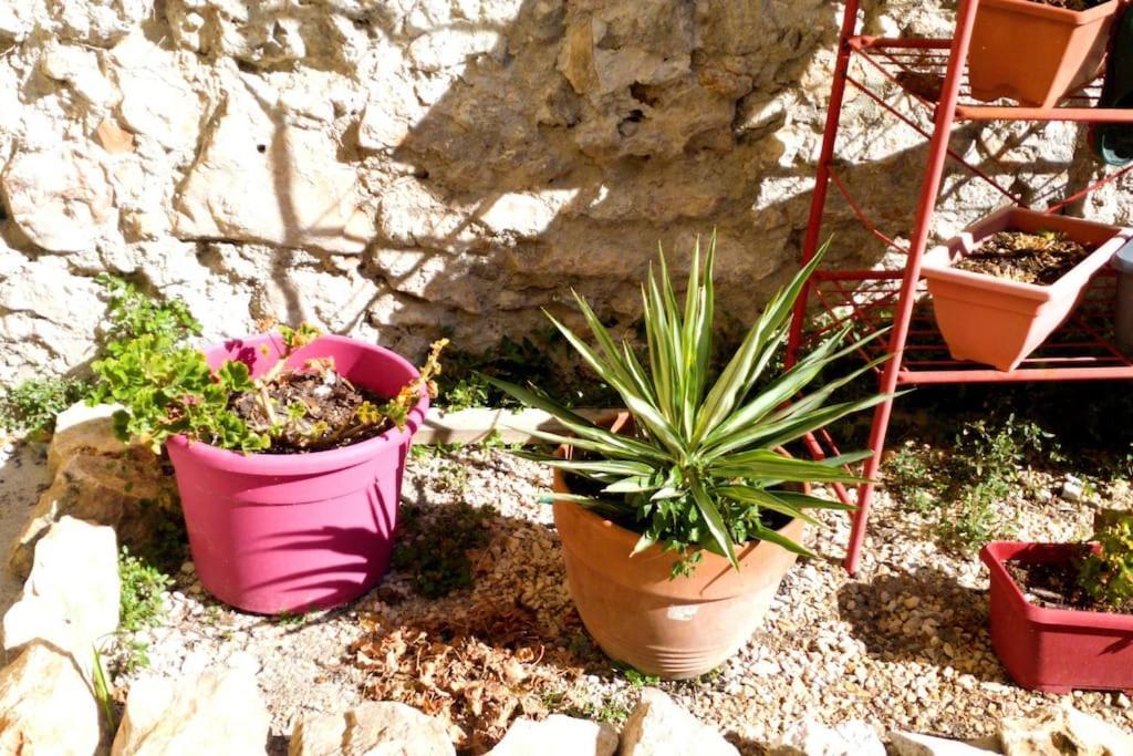 Le Loft Cosy - Centre Ville - Cadre Royal Sete Bagian luar foto